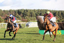 Race 4 - Value At Risk (13)