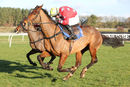 Race 4 - Value At Risk (15)