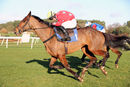 Race 4 - Value At Risk (16)
