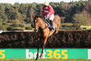 Race 4 - Value At Risk (9)