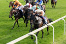 Race 4 - Volatile Analyst (3)