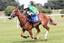 Race 4 - Washed Ashore (8)