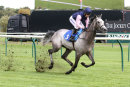 Race 4 - Wealth Tax (7)