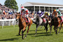 Race 4 - Whats The Story (2)