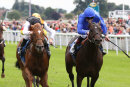 Race 4 - Woven (2)