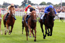 Race 4 - Woven (4)