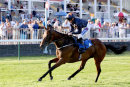 Race 4 - Zip Along (6)
