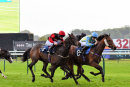 Race 4 - Zlatan (18)