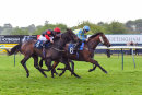 Race 4 - Zlatan (20)