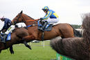 Race 4 (10) - Star Foot
