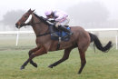 Three Muskateers - Race 4 (18)