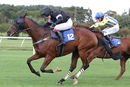 Race 4 (14) - King Golan
