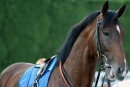 Race 4 (18) - Sextant