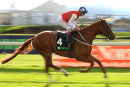 Race 4 (1) - Dominating