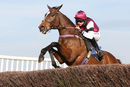 Race 4 (2) - Brave Spartacus