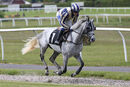 Race 4 (2) - Itacare