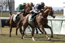 Thirsk Races (22 April 17)