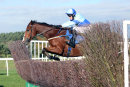 Race 4 (3) - Dr Des