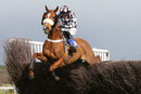 Race 4 (3) - Lucky Robin