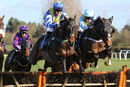 Race 4 (4) - Bertie Blake