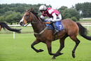 Race 4 (4) - Olivers Gold