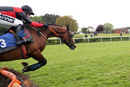 Race 4 (4) - Satoshi