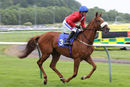 Race 4 (5) - Exhort