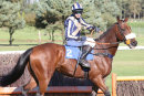 Race 4 (5) - Gallery Exhibition