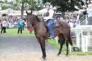 Race 4 (6) - Lady Aurelia