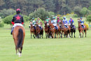 Race 4 (8) - MR170521