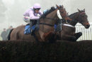Three Muskateers - Race 4 (7)