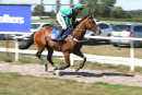 Race 4 (9) - Talkonthestreet