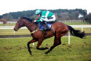 Race 5 - Aaron Lad (10)
