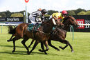 Race 5 - Afandem (10)