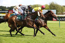Race 5 - Afandem (11)