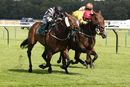 Race 5 - Afandem (5)