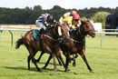 Race 5 - Afandem (6)
