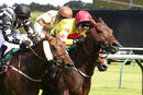 Race 5 - Afandem (7)