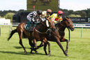 Race 5 - Afandem (8)