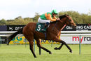 Race 5 - Al Moataz (10)