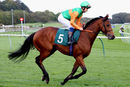 Race 5 - Al Moataz (2)