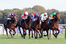 Race 5 - Al Moataz (3)