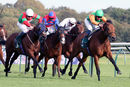 Race 5 - Al Moataz (4)