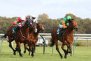 Race 5 - Al Moataz (5)