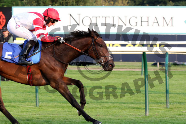 Race 5 - Al Nafoorah (14)