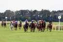 Race 5 - Albert Boy (4)