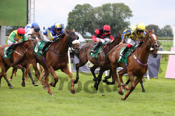 Race 5 - Albert Boy (6)