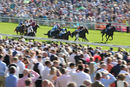 Race 5 - Alligator Alley (2)