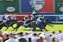 Race 5 - Alligator Alley (4)