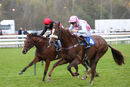 Race 5 - Ami Li Bert (5)